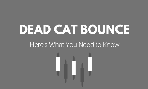 Alphaex Capital - Dead cat bounce