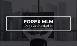 Forex MLM - Alphaex Capital